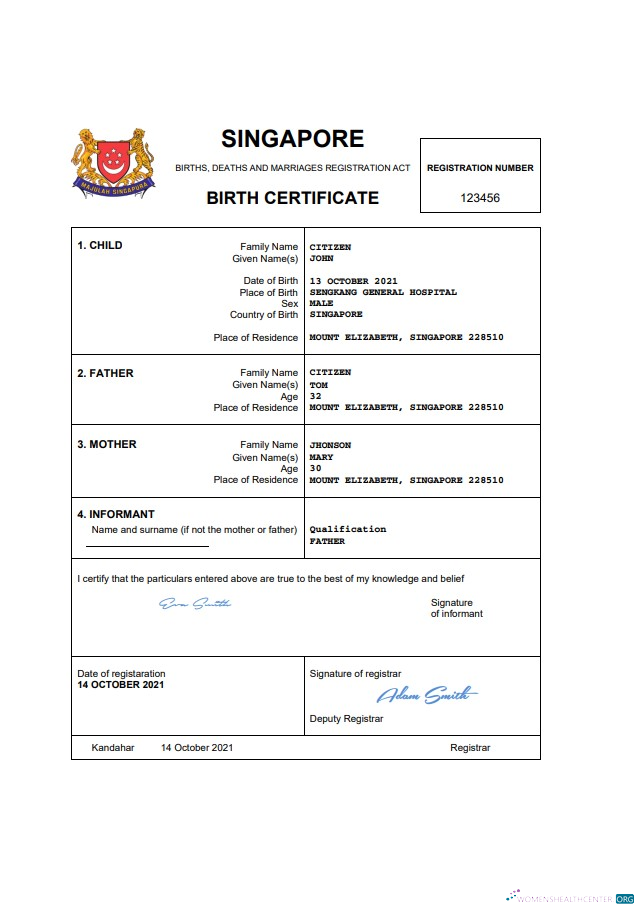 Download Singapore vital record birth certificate Word and PDF template Photoshop template